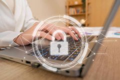 <b>海口科技型中小企业加速布局本地数字化服务新赛道</b>